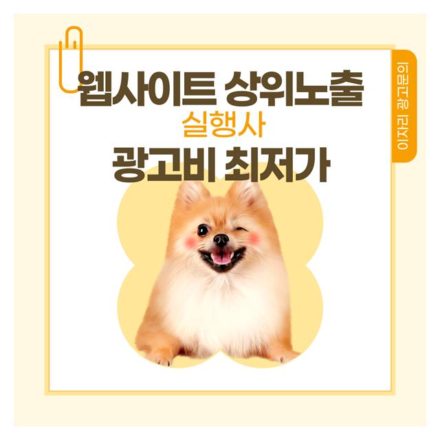 해운대강아지분양 웹사이트